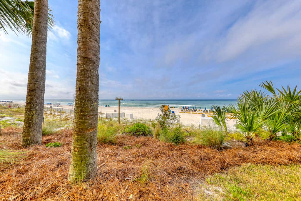 Beach-view, high-rise condo with pool - central location
