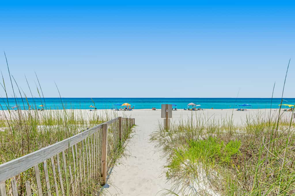 Beach Life