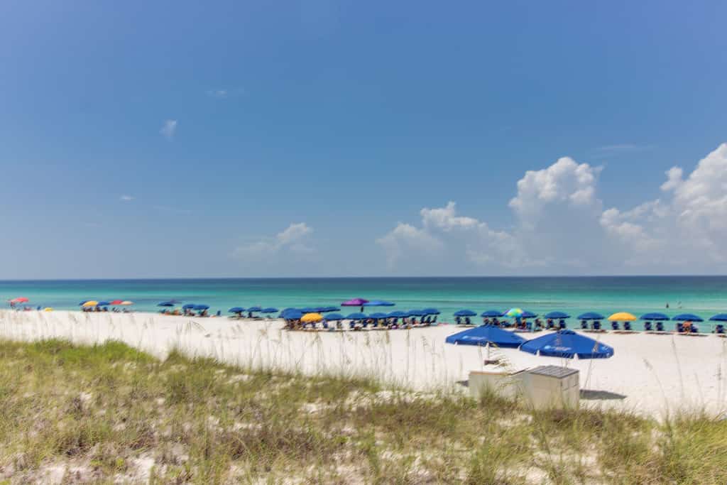 Navarre Towers 0602