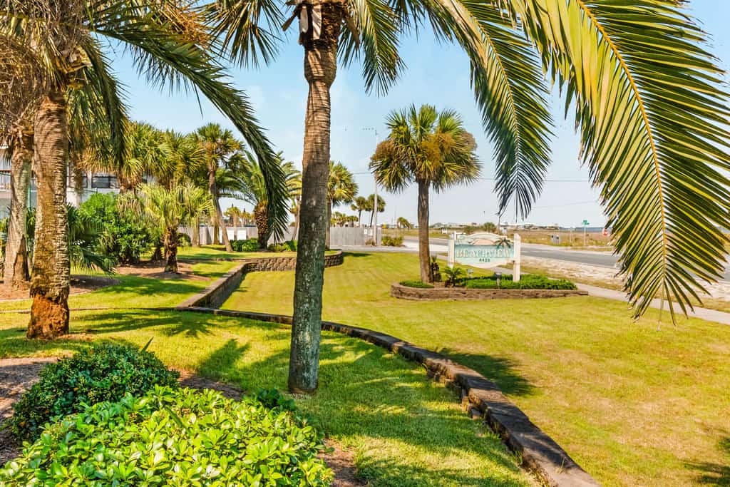 Beachview 110