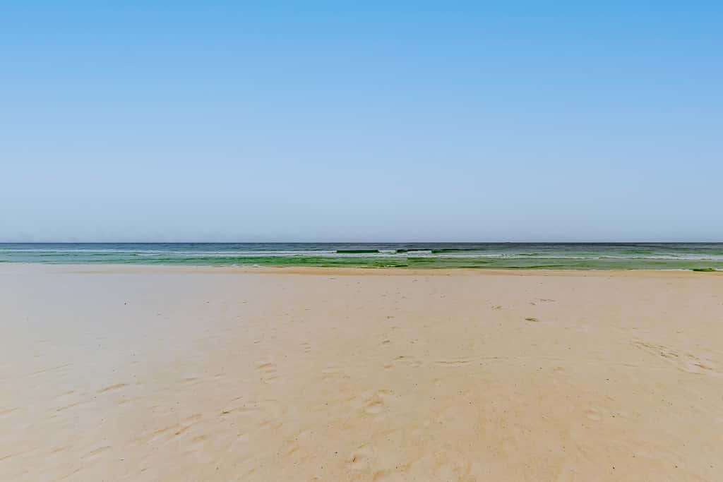 Gulf-front condo with sweeping views, pools, hot tubs, & easy beach