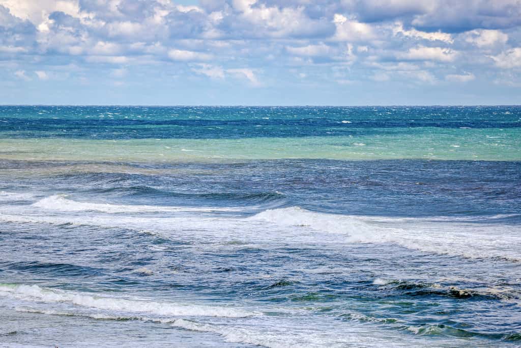 Gorgeous beachfront condo, shared pool and beach access