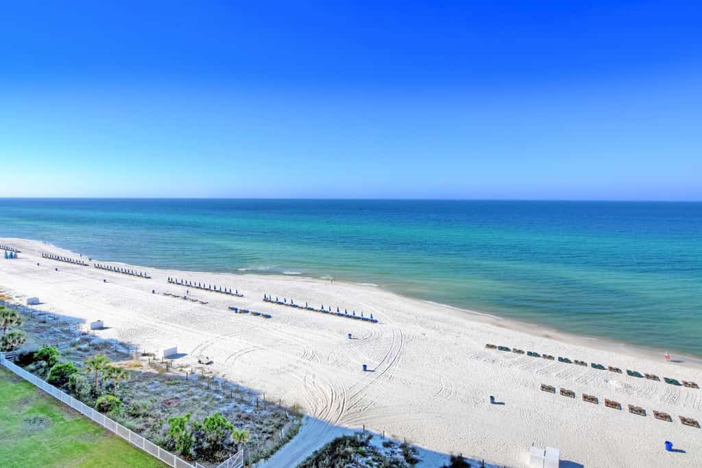Twin Palms 904
