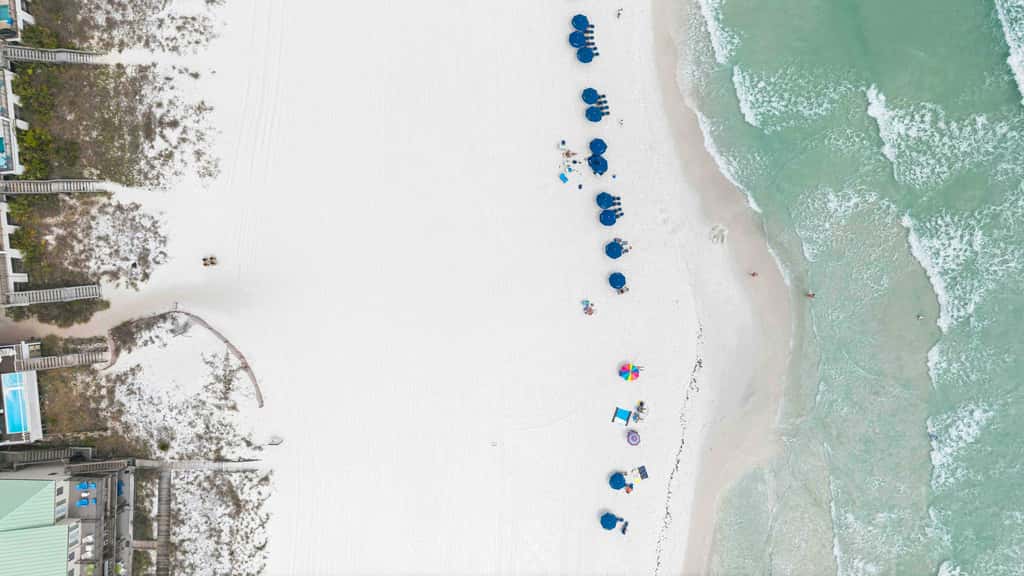 Destin Mojo