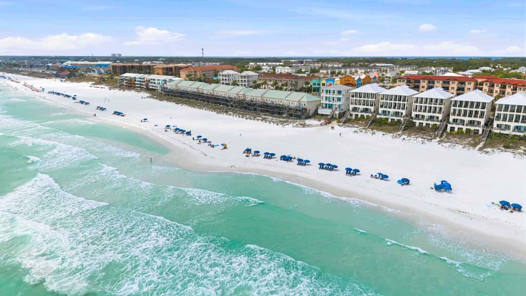 Destin Mojo