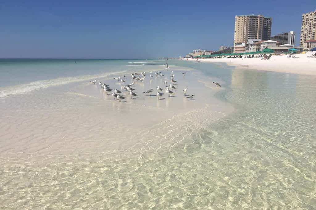 Ocean-view condo with pools & hot tub, balcony, central AC, W&D