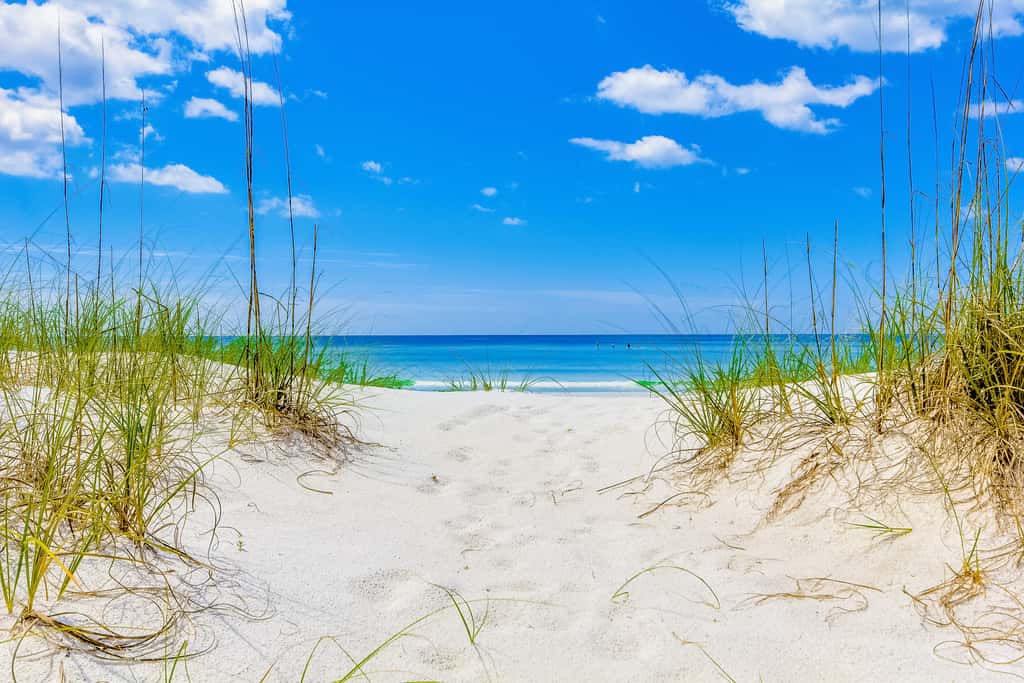 Cozy coastal efficiency with shared pool, hot tub & easy beach access