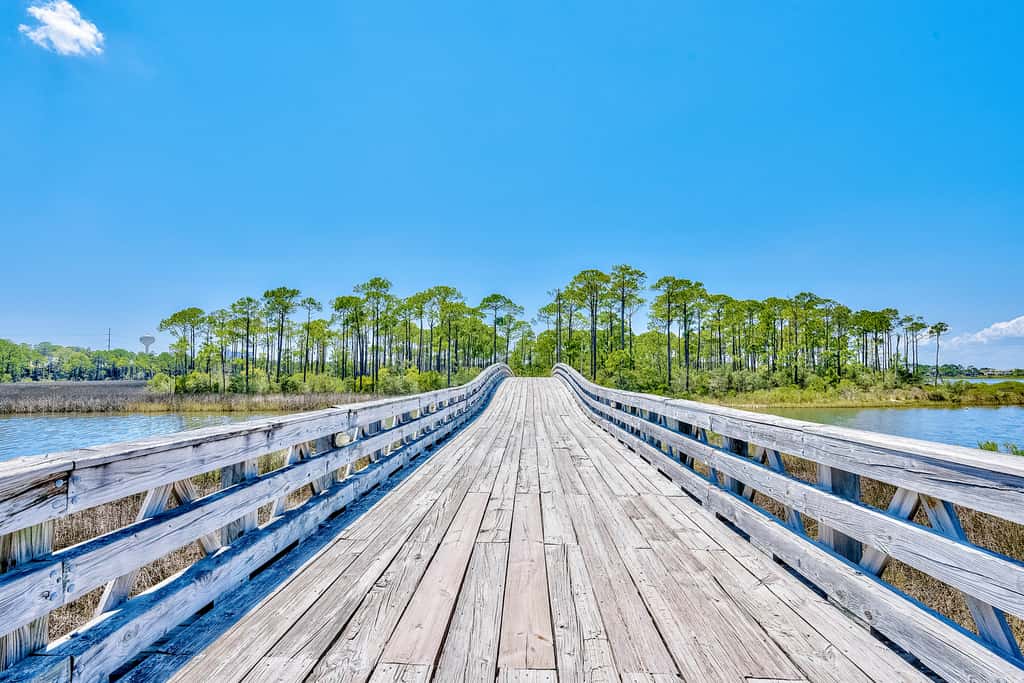 Bright & cozy coastal condo with shared pools, hot tubs, fast WiFi & central AC