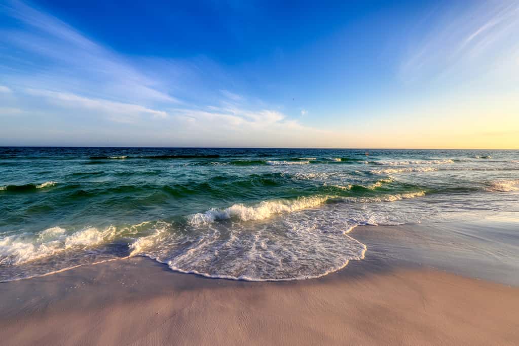 Dog-friendly coastal haven with premium beach perks & resort indulgence