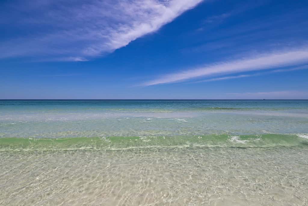 Dog-friendly coastal haven with premium beach perks & resort indulgence