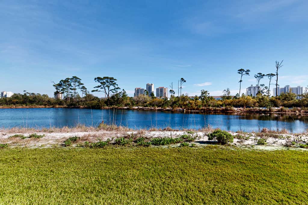 Perdido Key Incredible Lake Views, Beach Chairs & Umbrella