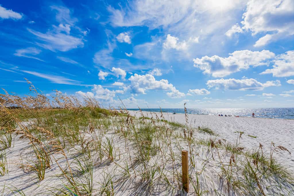 Perdido Island Retreat