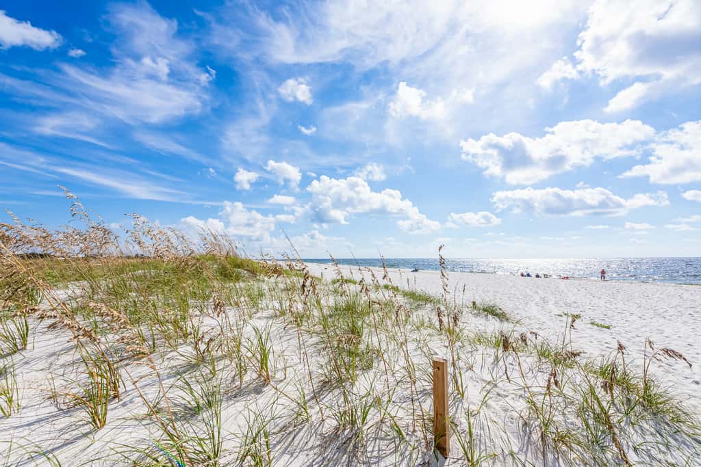 Dog friendly coastal townhome with golf course views, patios, and washer, dryer
