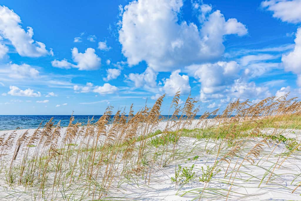 Dog friendly coastal townhome with golf course views, patios, and washer, dryer