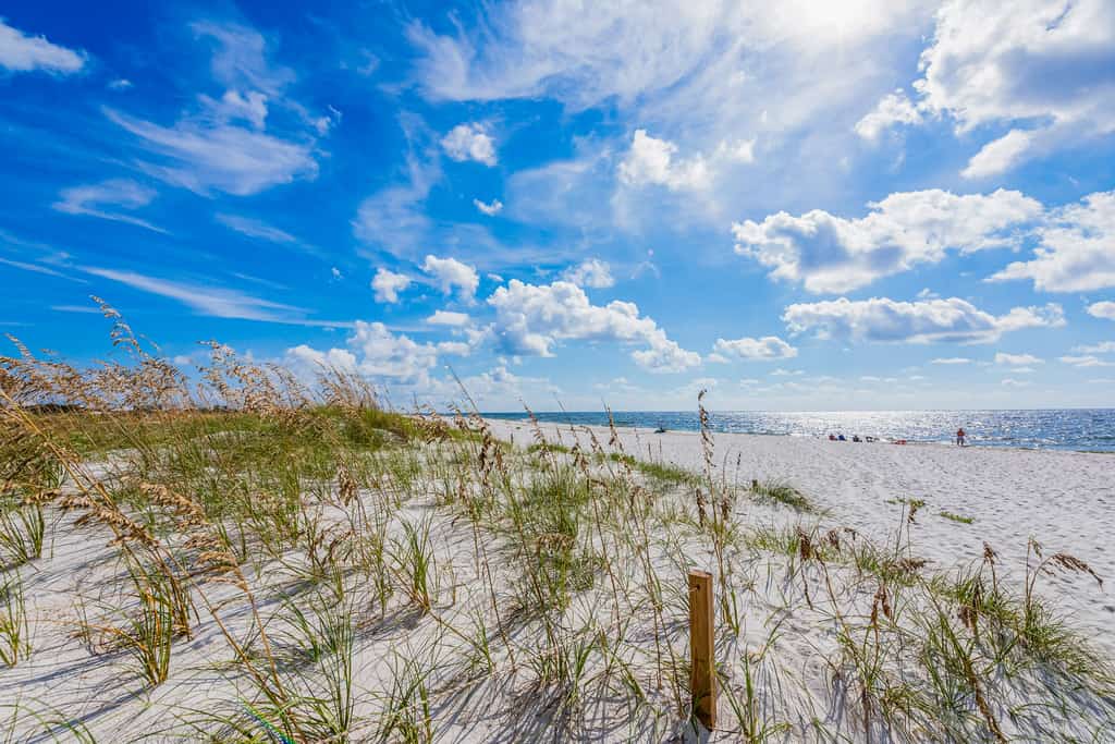 Pretty in Perdido Key