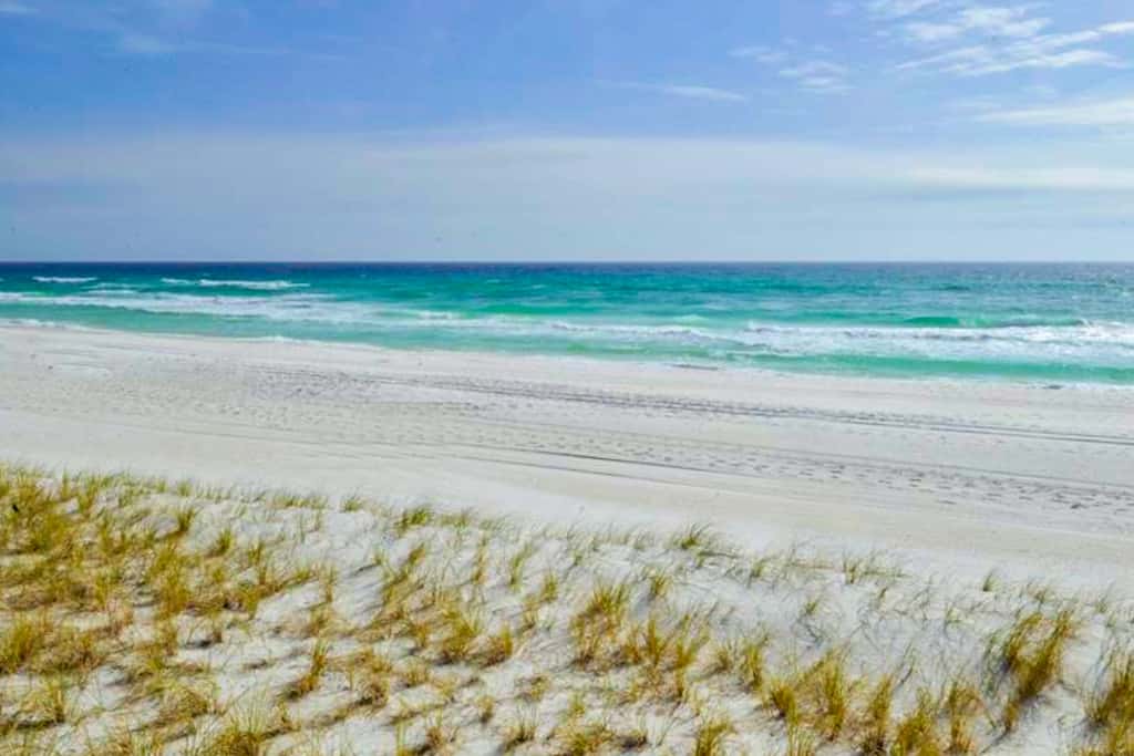 Majestic Sun A806 Beachfront Views & Pool Fun!