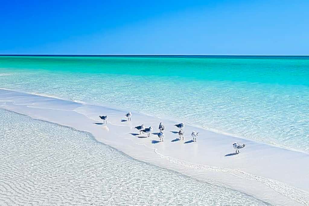 Sunny Side Up Santa Rosa beach