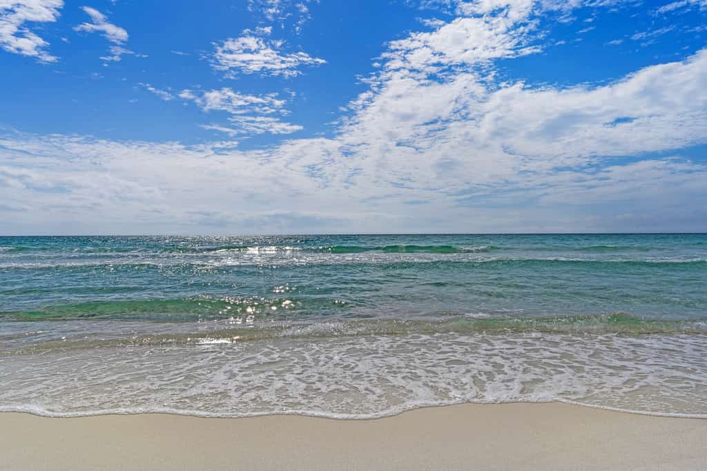 Dunes of Seagrove A206
