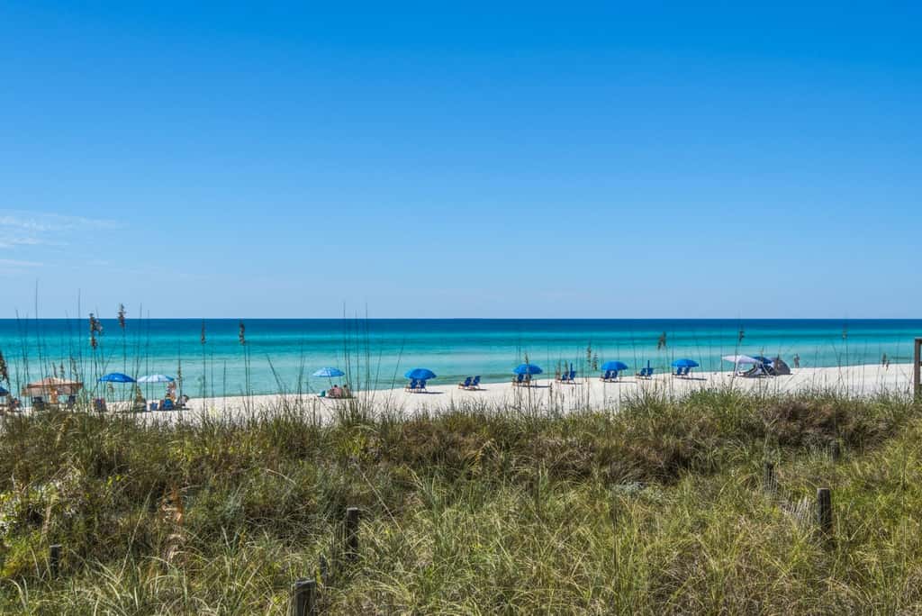 Dune it Right -Completely Updated with beach access, pool, hot tub, tennis, pickleball & gym