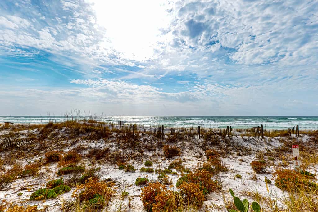 1st floor gulf front condo with amazing views, charcoal grills - walk to the beach