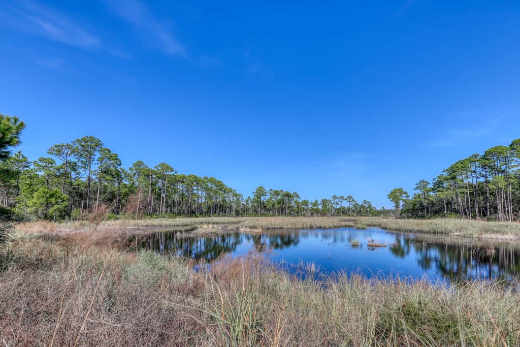 Cozy studio near the beach w/bright interior, shared pool, & prime location