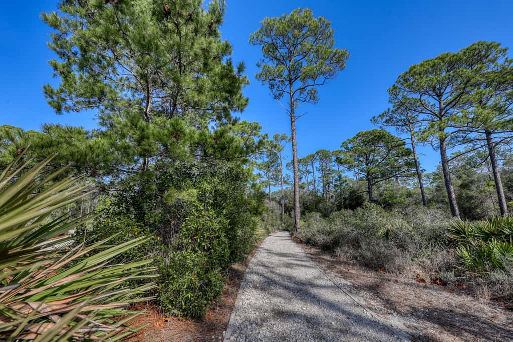 Top floor condo steps to the beach Shared pool & close to shopping & dining