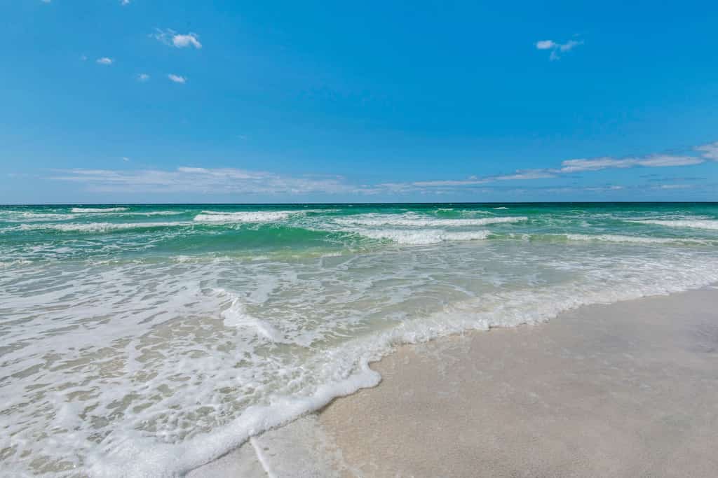 High Pointe 3334
