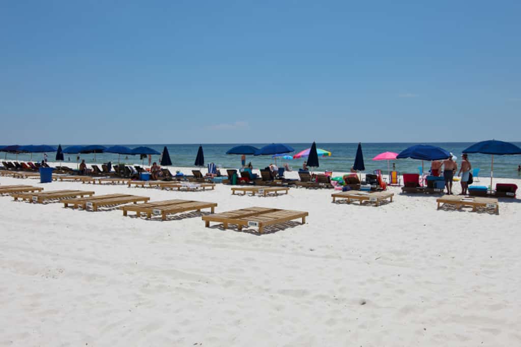Newly Updated, 9th Floor Gulf-front Condo, Beach Chair Service Included