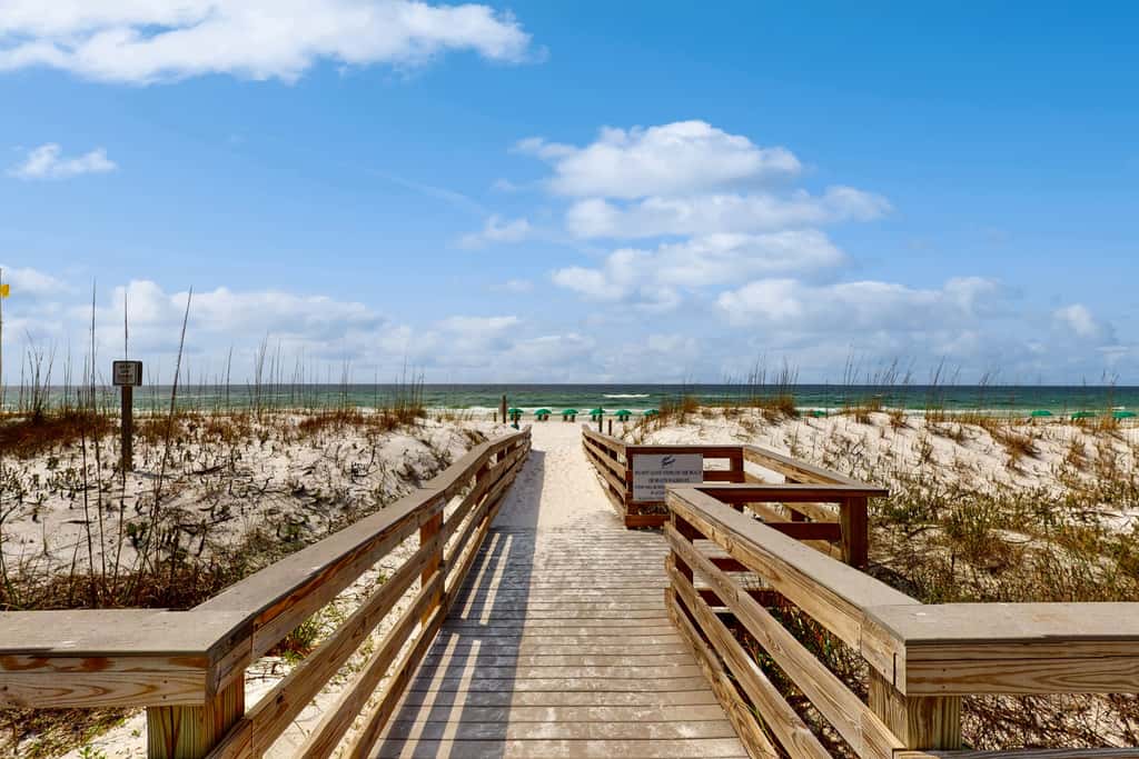 Gulf Dunes 317 - Relaxing oceanfront escape with fitness center, shared pool & views
