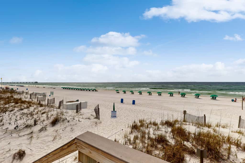 Gulf Dunes 317 - Relaxing oceanfront escape with fitness center, shared pool & views