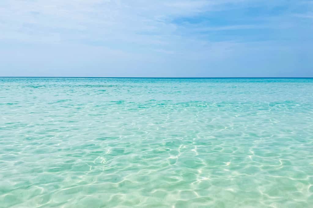 Cozy coastal condo, dog friendly, gulf view and close to beach access