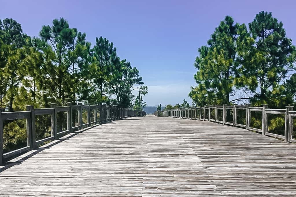 Spacious home steps from the beach with fast WiFi & washer/dryer