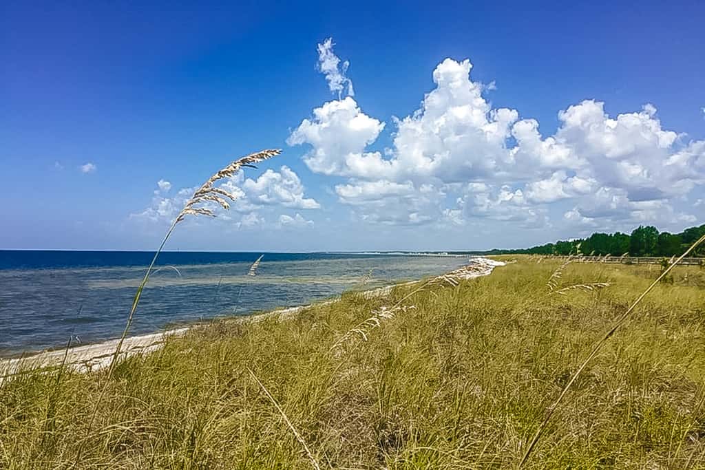 Spacious home steps from the beach with fast WiFi & washer/dryer