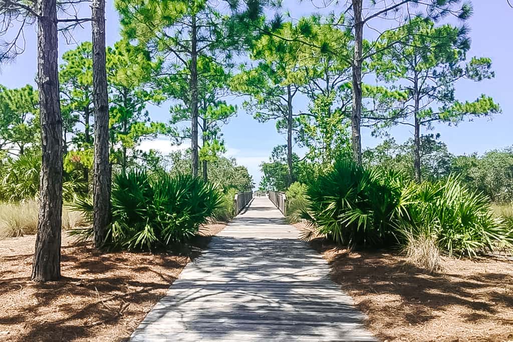 Spacious home steps from the beach with fast WiFi & washer/dryer