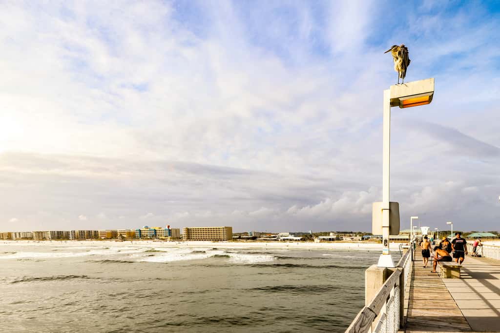 Gorgeous Gulf Front Condo Pools Onsite, Nearby Activities, Shops, Restaurants!