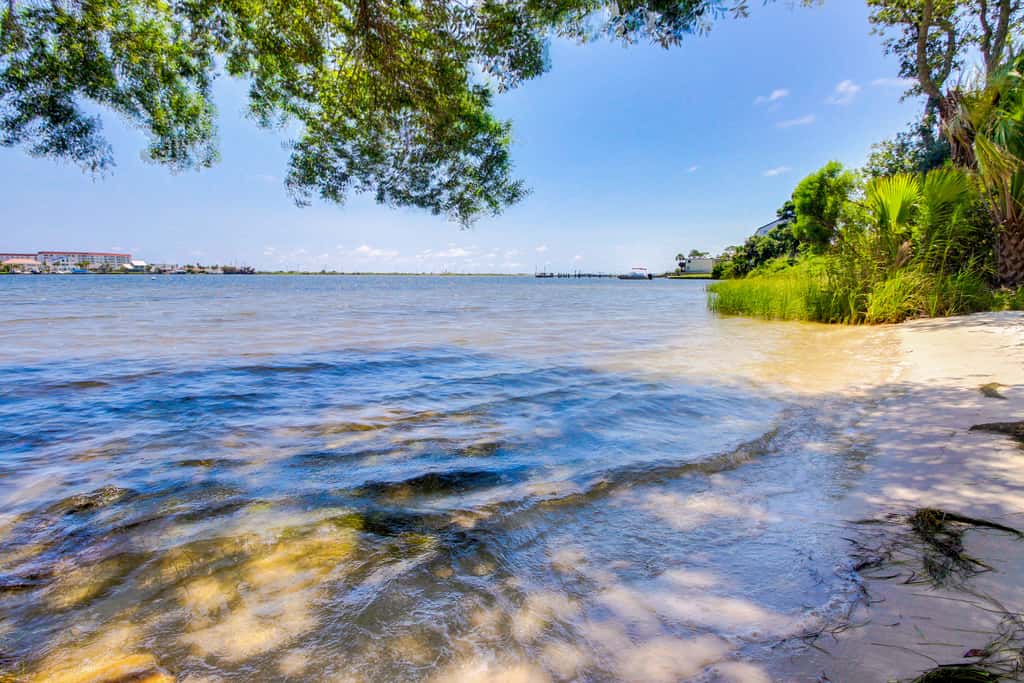 Bright, second-floor studio with high-speed WiFi & pool view - walk to the bay