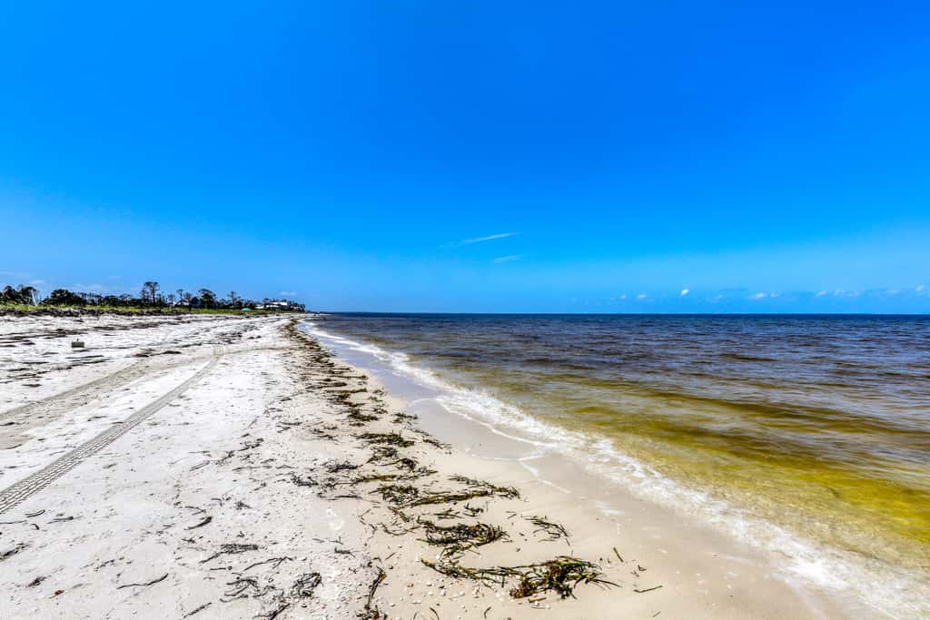 Lovely Home with Screened-In Porches, Balcony & Shared Pool - Walk to the Beach
