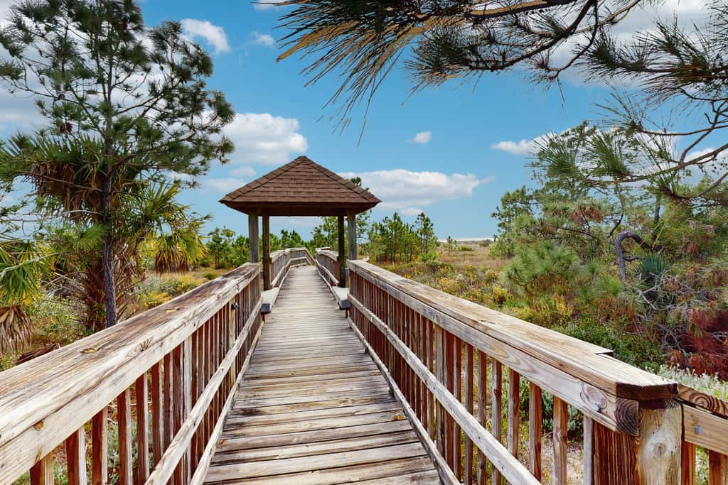Spacious dog-friendly home with community pool, deck, & WiFi - minutes to beach