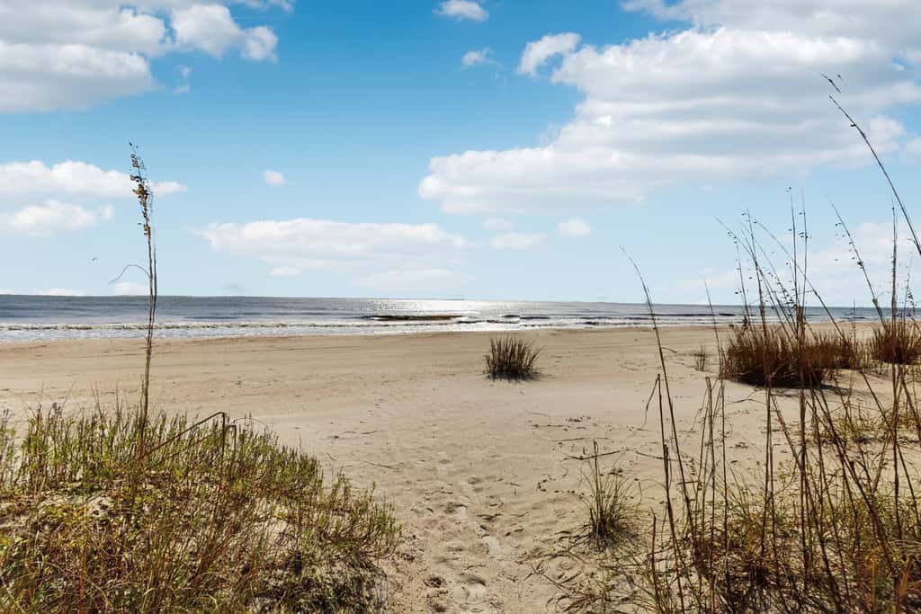Spacious dog-friendly home with community pool, deck, & WiFi - minutes to beach