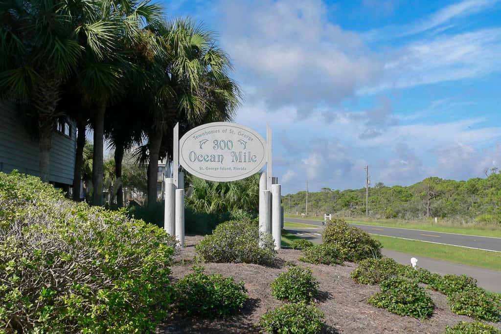Dog-friendly beachfront townhouse with community pool, washer&dryer, central AC