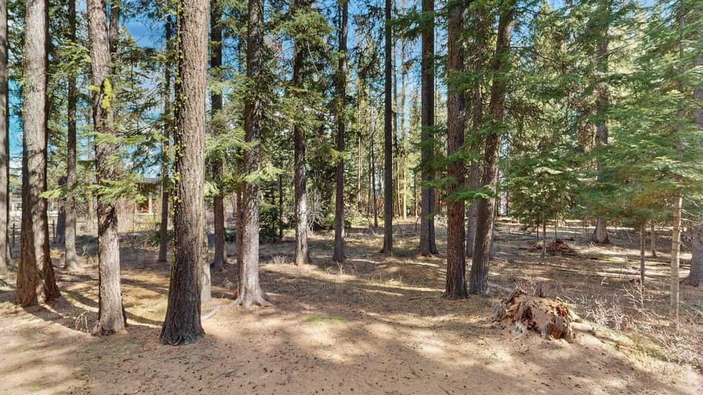 McCall Log Cabin, NearDowntown, Trailer Parking