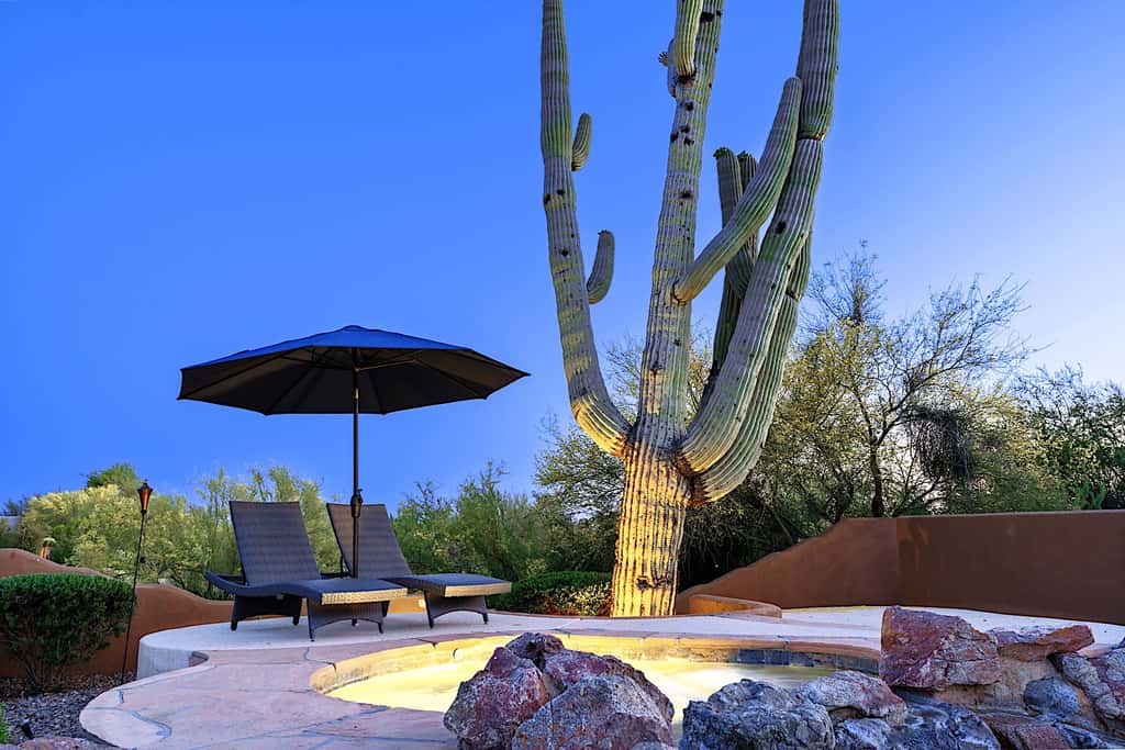 Pinnacle Peak Estate