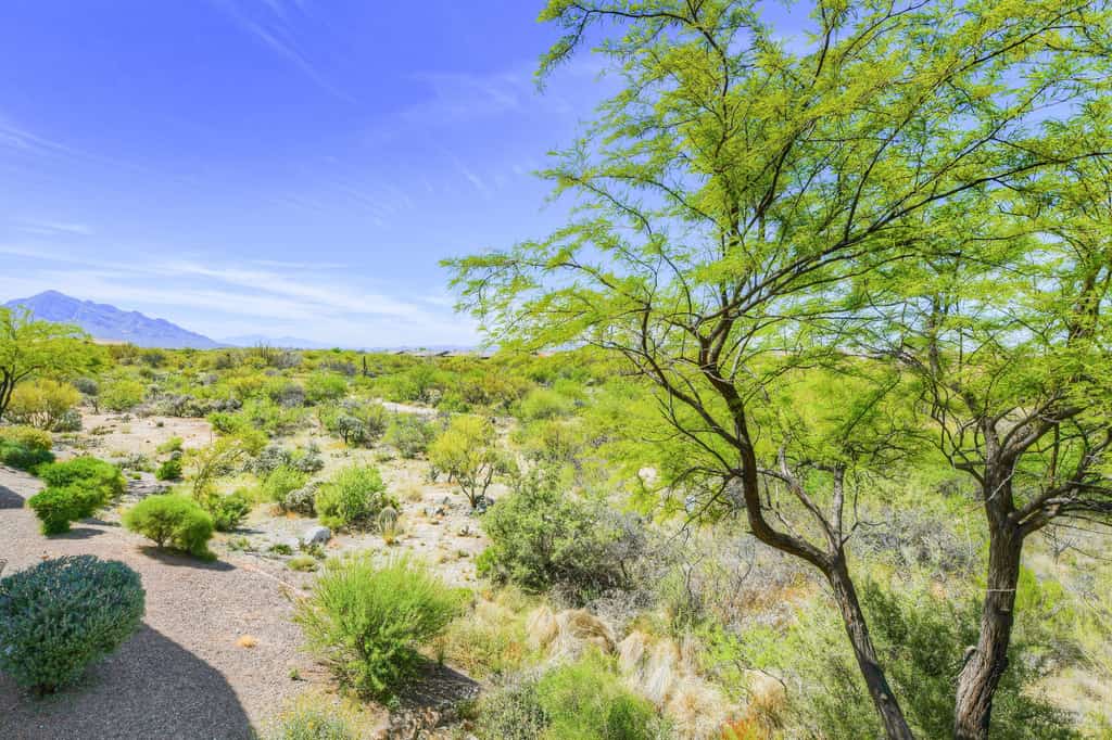 Bright and spacious mountain-view home with pool/hot tub on-site, golfing nearby