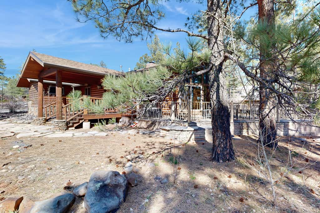 Home in the Pines