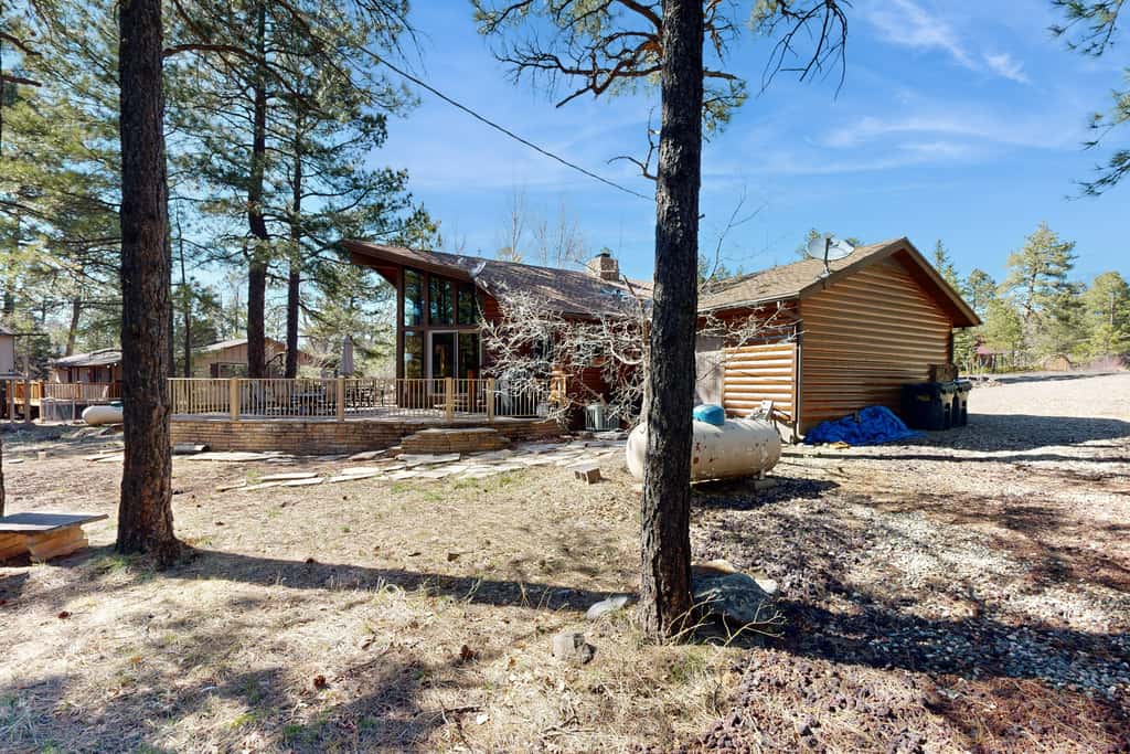 Home in the Pines