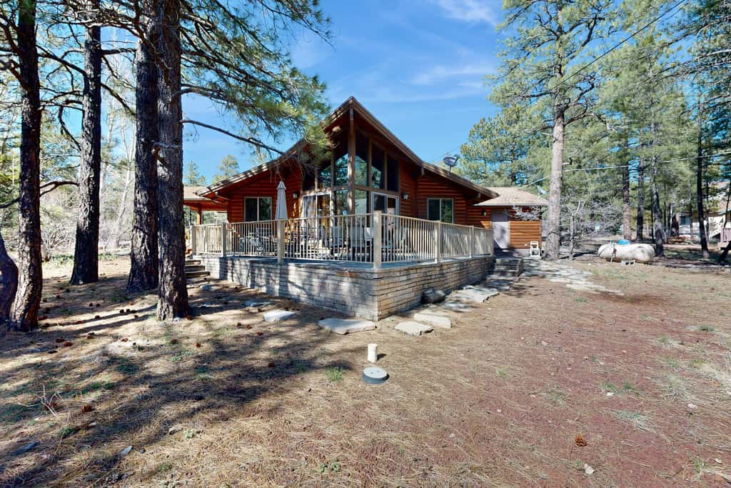 Home in the Pines