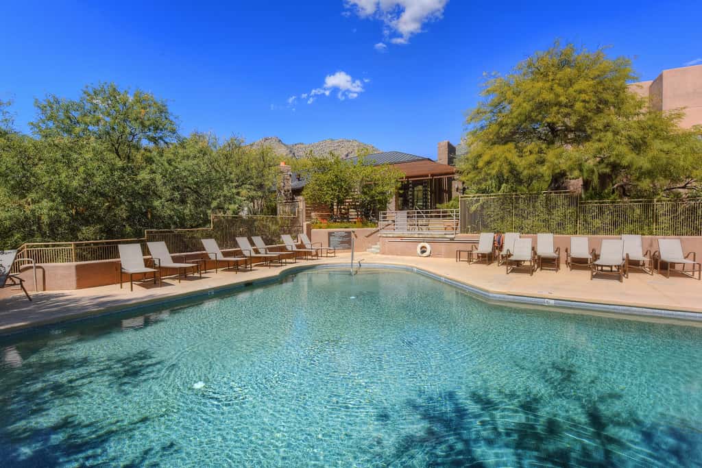 Canyon View #4120