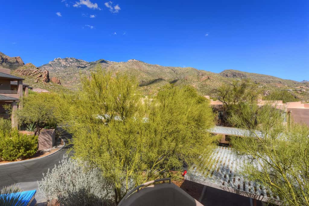 Canyon View #4120