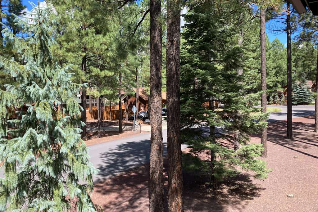 Bohemian condo with updated interior, work desk, fireplace, & mountain views