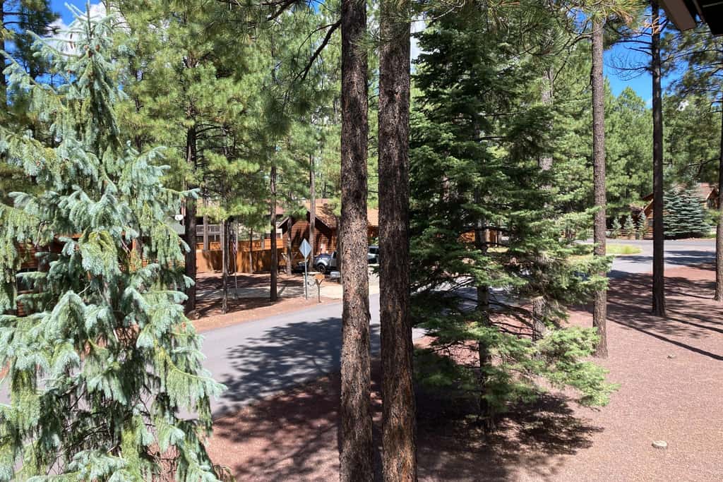 Sway of the Pines, Unit#32A